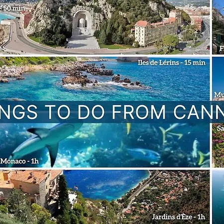 Cozy Studio In Scenery Quiet Ac Parking Ctr 5 Mn Olam Properties * Cannes